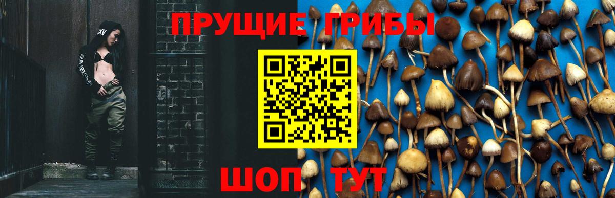 Советский  Галлюциногенные грибы Psilocybe  Вход с VPN 